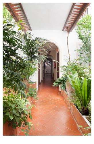 Hotel Ninays - image 4