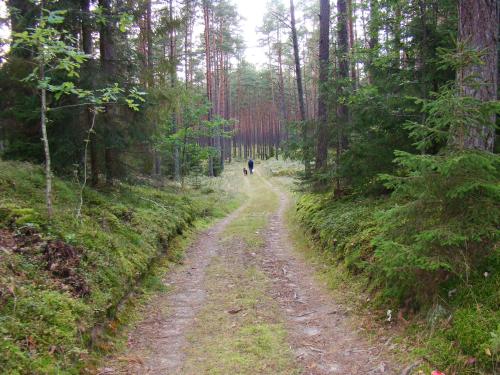 Zagroda Warmińska Pszczoła