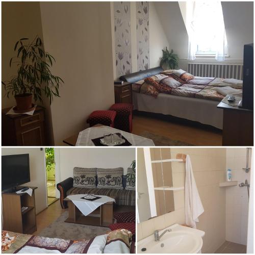  Hubertus Panzió in Mátészalka