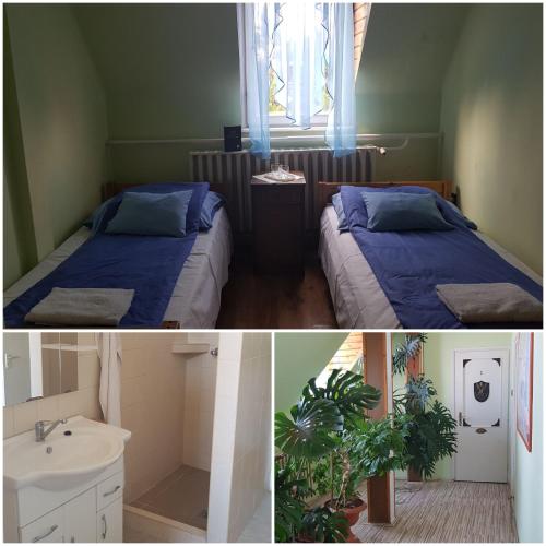  Hubertus Panzió in Mátészalka