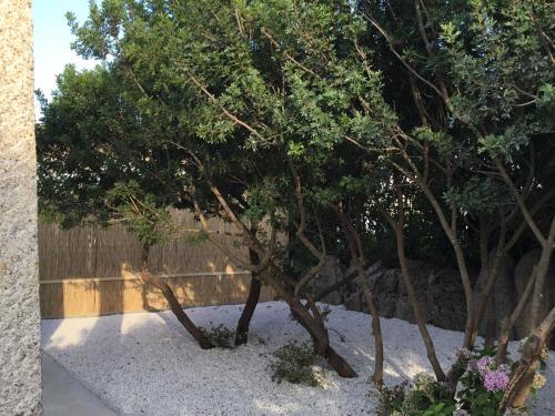 Villa Adele, Olbia (Foto 5)