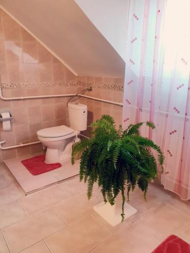 Thomas Apartman Eger - image 3