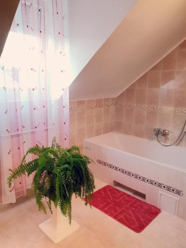 Thomas Apartman Eger - image 6