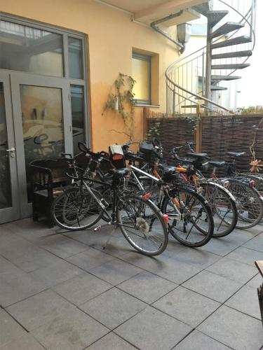 Altstadthotel Am Pach - image 4