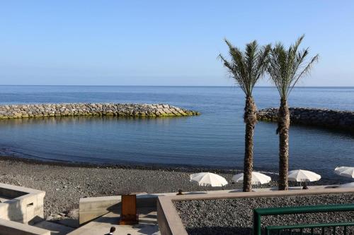 Jacinta Guest house in Arco da Calheta