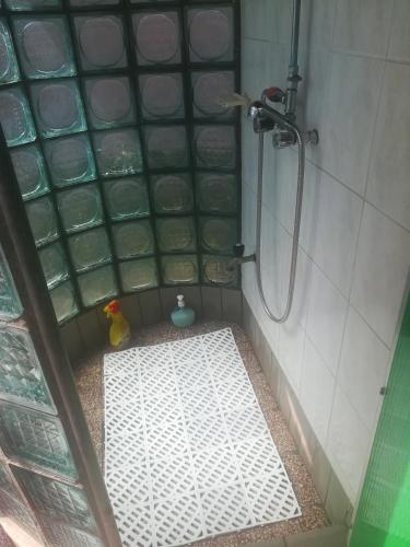 Bathroom, Tiszavirag Nyaralohaz in Tápé