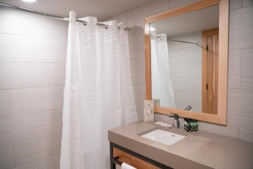 Superior Suite with Queen and Twin Beds