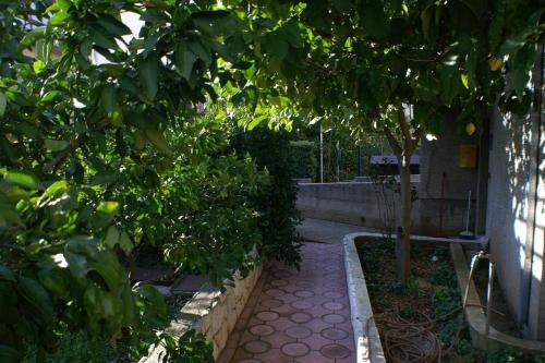 Apartment in Slatine 