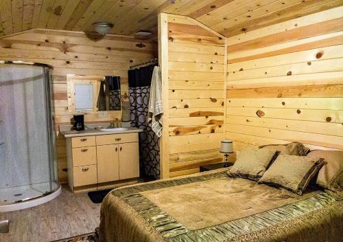 Zion’s Cozy Cabin's - image 9