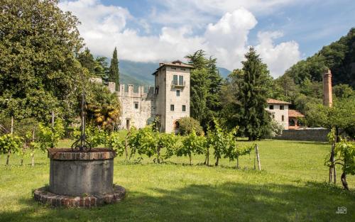 Castrum di Serravalle - image 6
