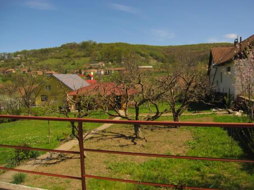 Pensiunea Sighisoara - image 6