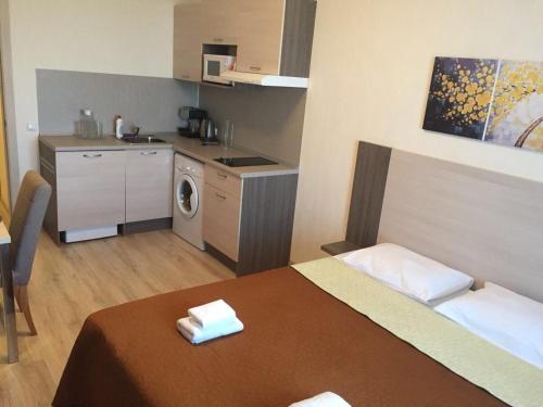 Euro Apartament Salut na Pulkovskom 14 - image 12