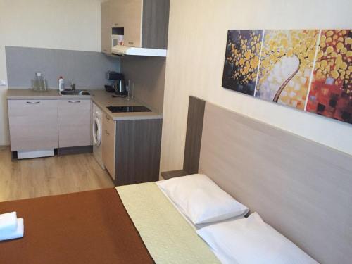 Euro Apartament Salut na Pulkovskom 14 - image 13