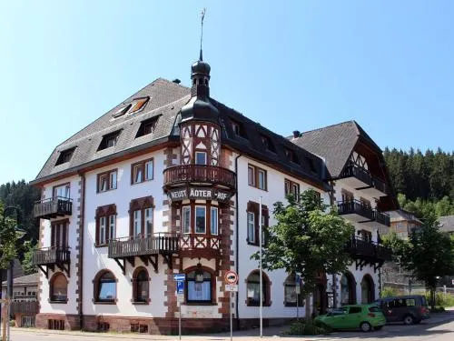 Hotel Neustädter Hof in Titisee-Neustadt, Deutschland