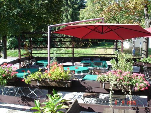 Hotel & Restaurant Zur Weintraube - image 5