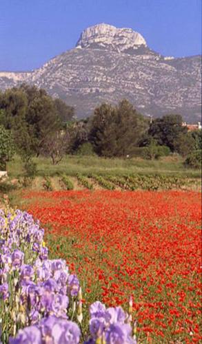 villa fleur de sel