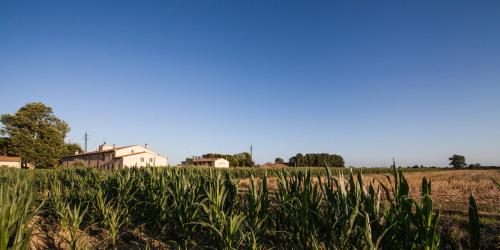 Cascina Canova B&B