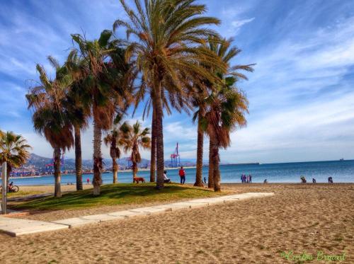 Apartamento Parque litoral, Málaga (fotografie 10)