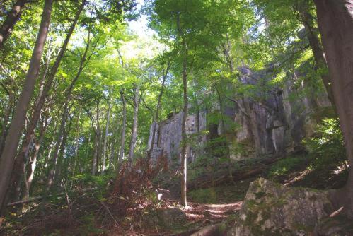 Land-gut-Hotel Räuber Lippoldskrug - image 5
