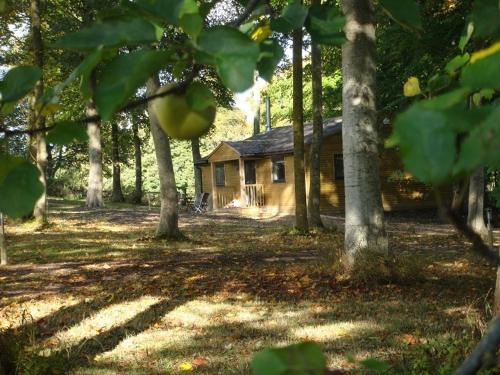 The Apple Wood, , Wiltshire