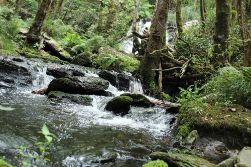 Casa Grande de Covas-Apartamentos Turísticos