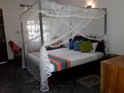 Coconut Grove - Midigama Coconut Grove - Midigama