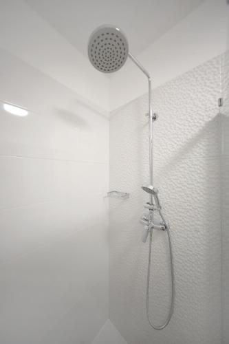 Teatro Verdi Accommodation – Zadar, VA