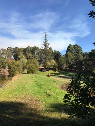 森林山林小屋度假酒店
