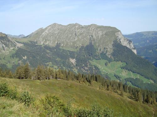 Ferienbauernhof Beer - image 5
