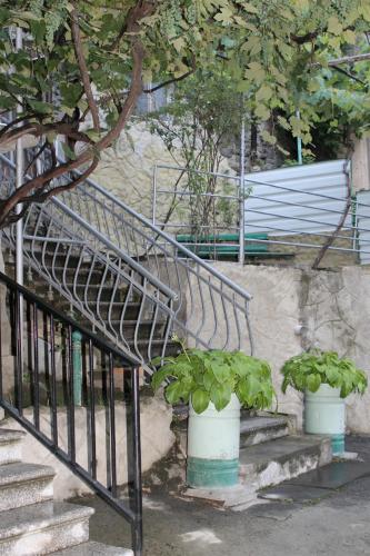 mariko, Borjomi (foto 5)