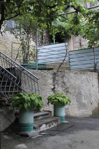 mariko, Borjomi (foto 6)