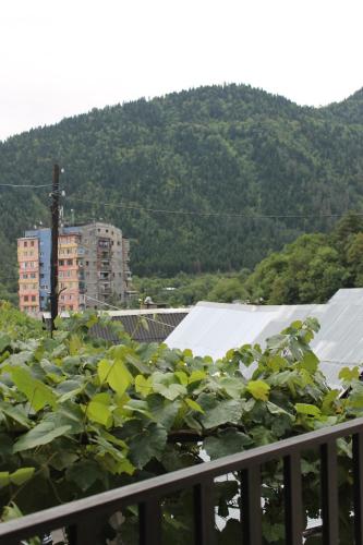 mariko, Borjomi (foto 10)