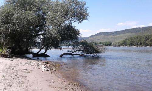 A környék, FeWo Batek in Trechtingshausen