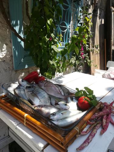 Alaçatı Frida Hotel - image 11