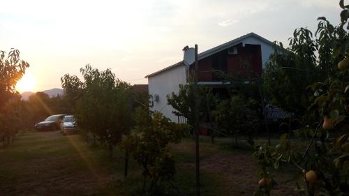 Airport home Radinovic - image 12