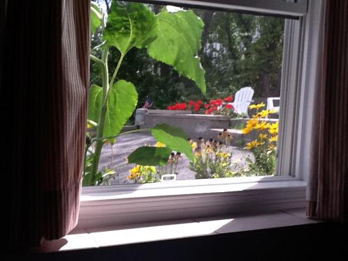 โจเซฟิน ออน เดอะ เดอะ เบย์ เบด แอนด์ เบรคฟาสต์ (Josephine's on the Bay Bed and Breakfast) in ฮอล (MA)