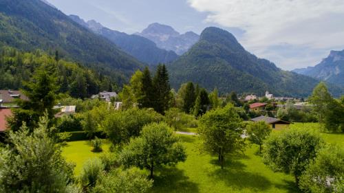 Pension Wildental - image 3