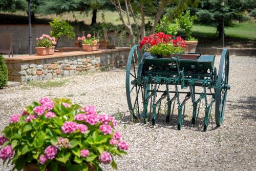 Agriturismo Bellosguardo - image 6