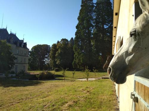 Château de St Alyre