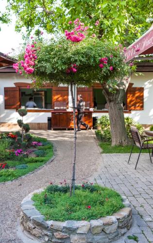 Konak Nestor Bungalows, Skopje (zdjęcie 11)