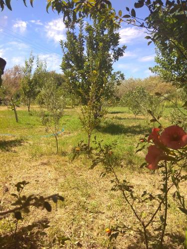 Panorama Palaiοpolis