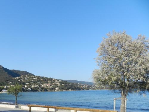 Appartement les Pieds dans l'eau !