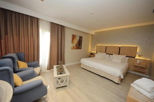 Hotel Château Viñasoro in Alcazar de San Juan