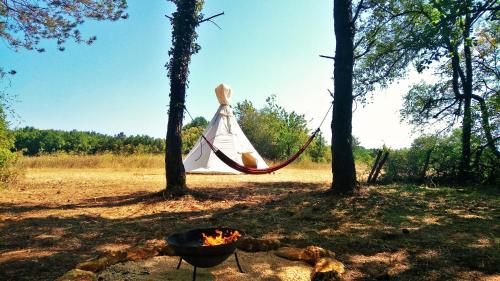 Grand tipis confortable, authentique chalets en rondins et belle maison Périgourdine avec piscine et vue Lascaux en Périgord