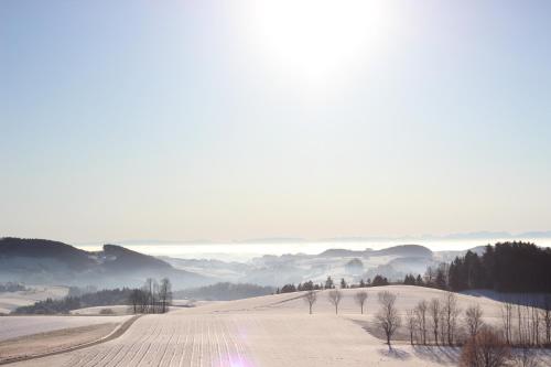 Ferienwohnung im Mühlviertler Panorama Vierseithof