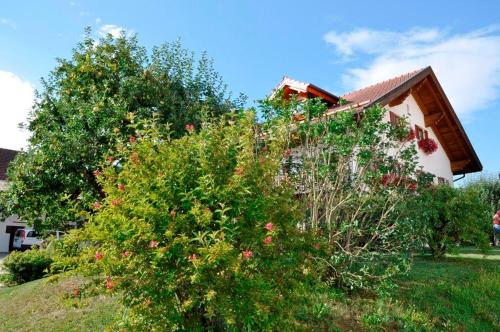 外部景觀, Gästehaus Walser (Gastehaus Walser) in 高廷