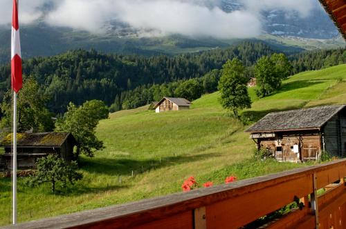 Chambre double, supérieure, vue sur la montagne, balcon