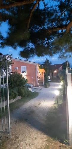 il glicine