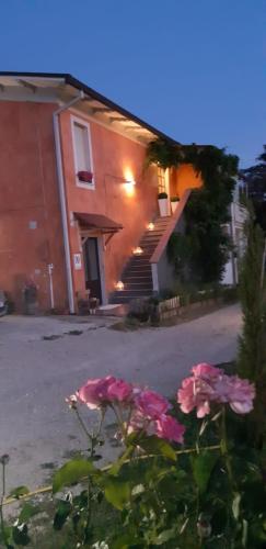il glicine