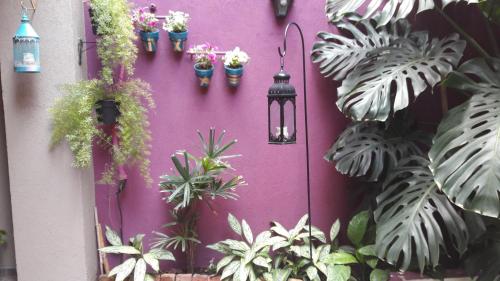 Apartment with Garden View room in InspireBA - Garden